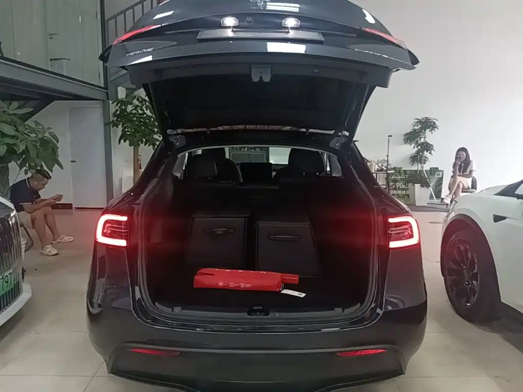 Tesla Model Y — миниатюра 19