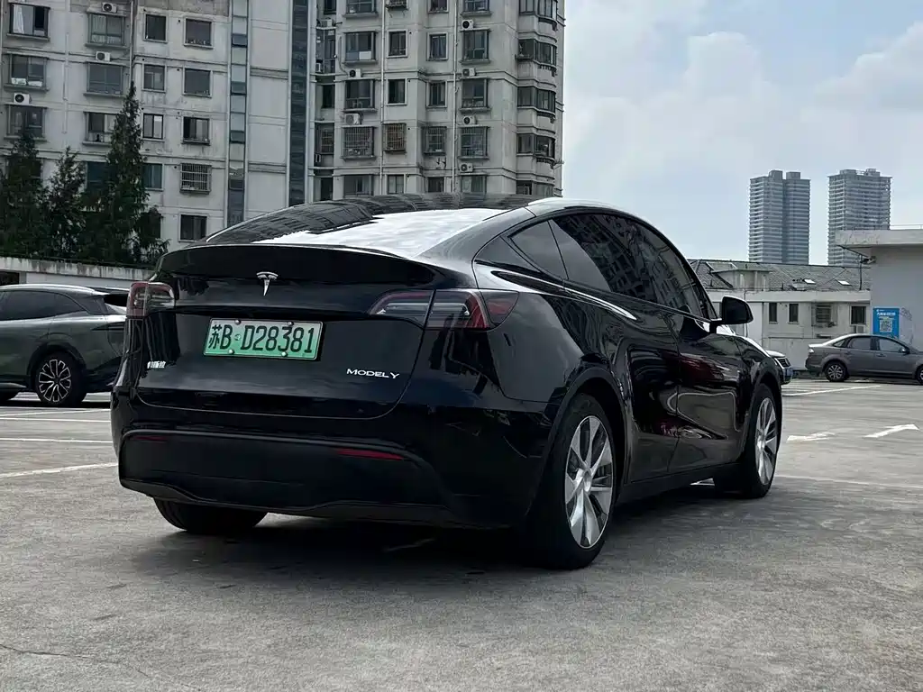 Tesla Model Y — миниатюра 8