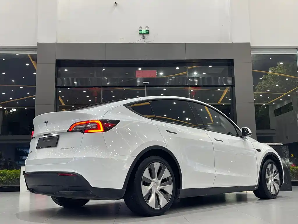 Tesla Model Y — миниатюра 7