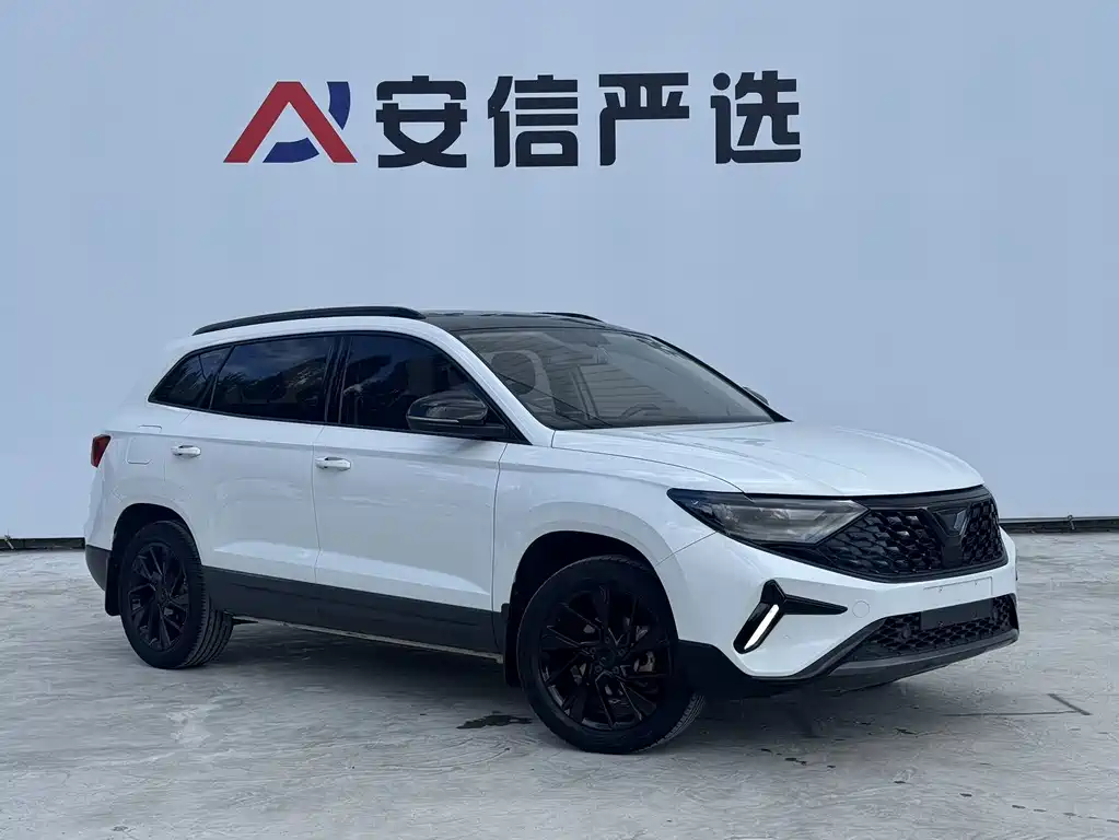 Jetta VS7 — миниатюра 3