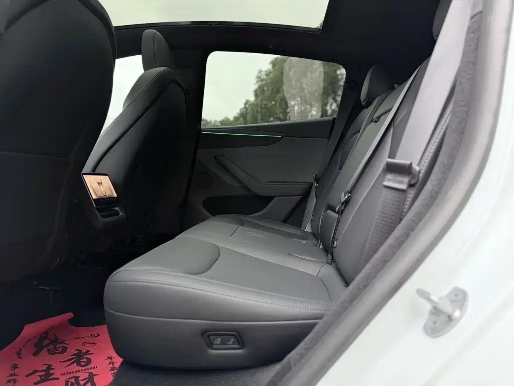 Tesla Model Y — миниатюра 5
