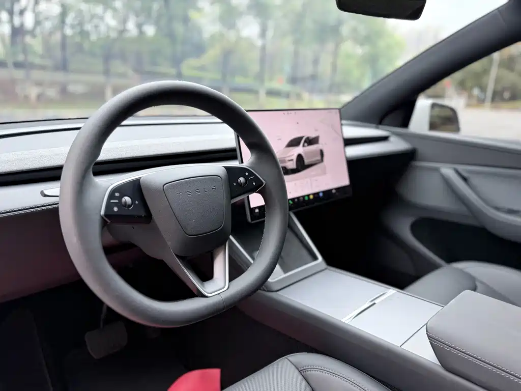 Tesla Model Y — миниатюра 12