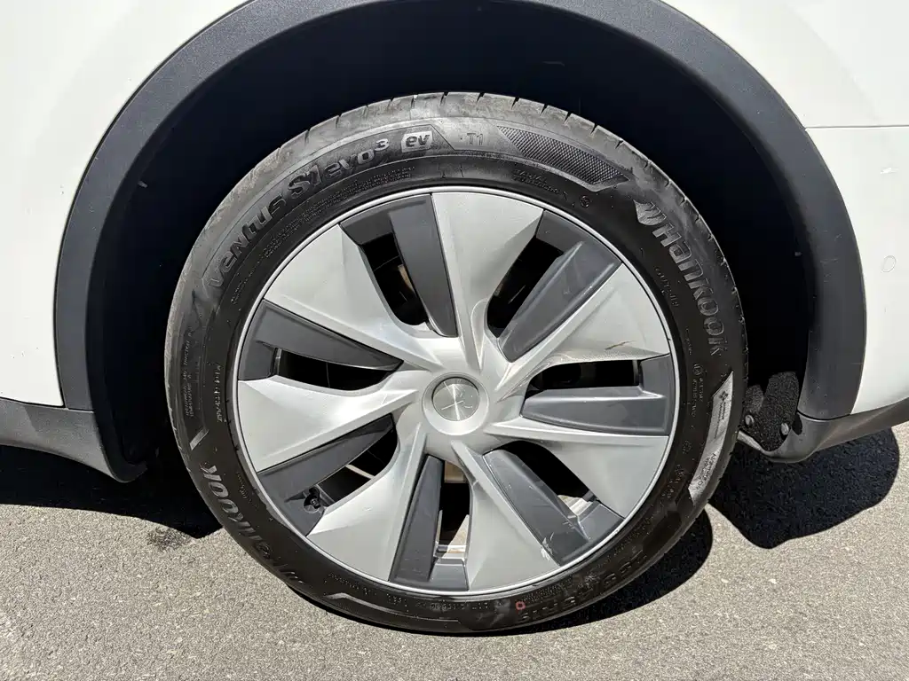 Tesla Model Y — миниатюра 18
