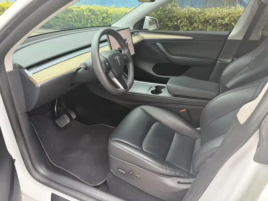 Tesla Model Y — миниатюра 4