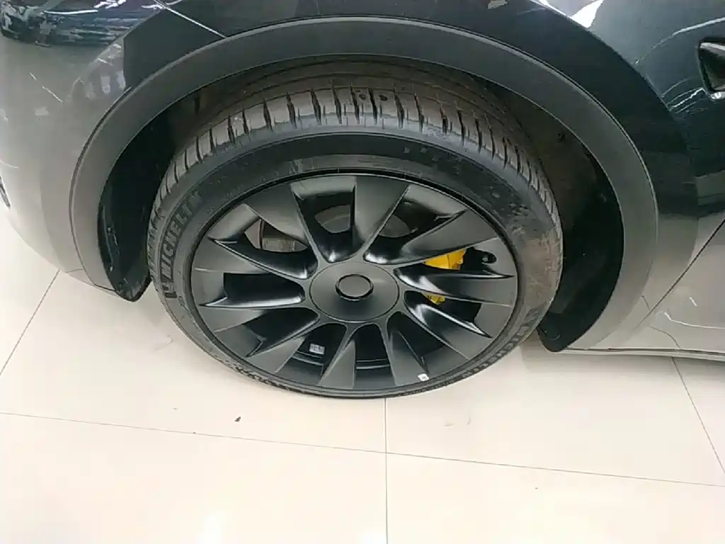 Tesla Model Y — миниатюра 23