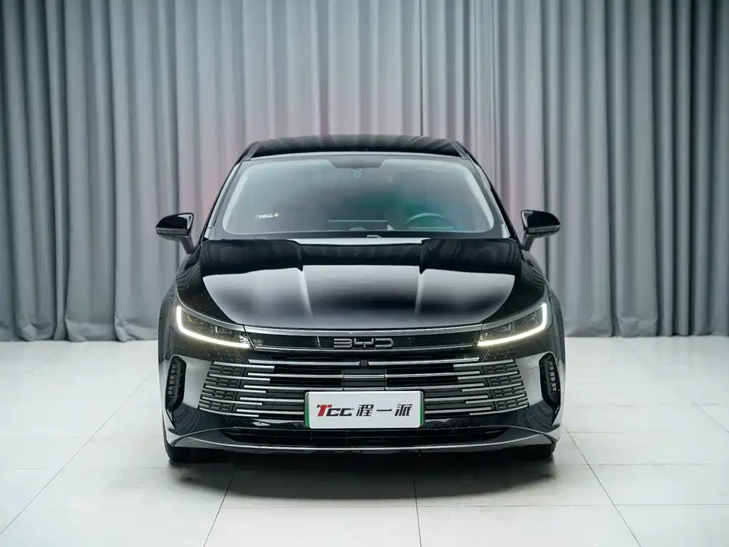 BYD Destroyer 05 — миниатюра 2