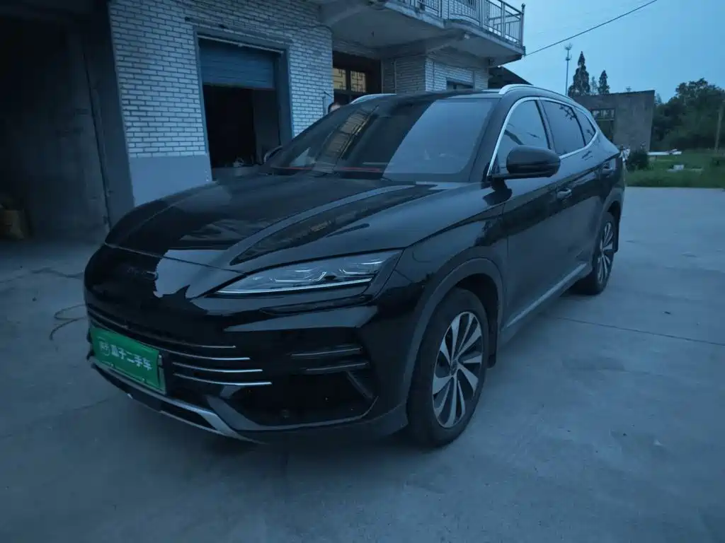 BYD PLUS New Energy — миниатюра 2