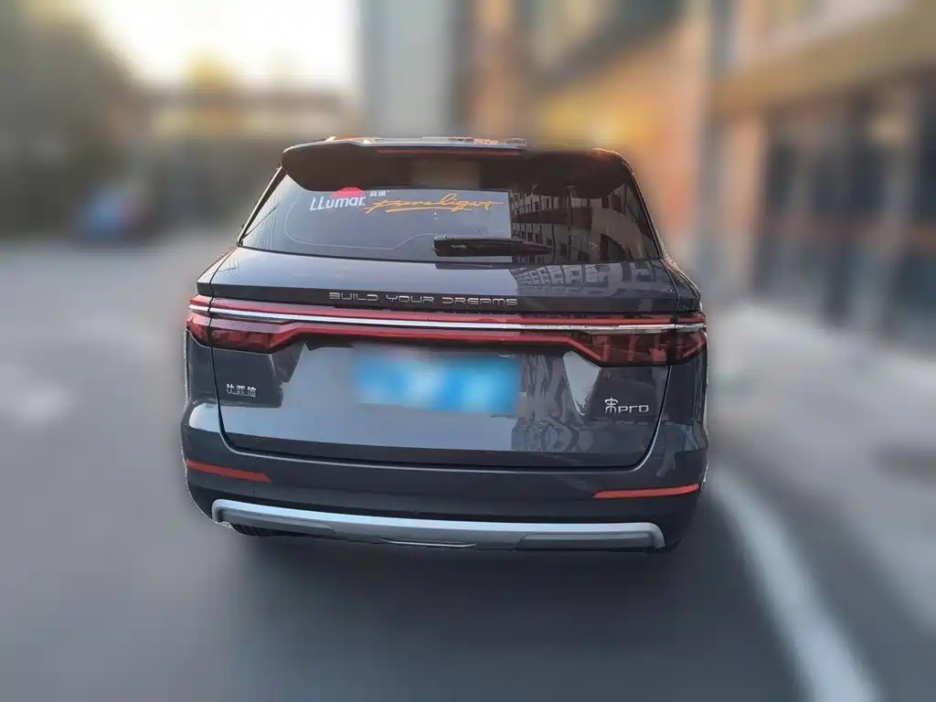 BYD Pro — миниатюра 5