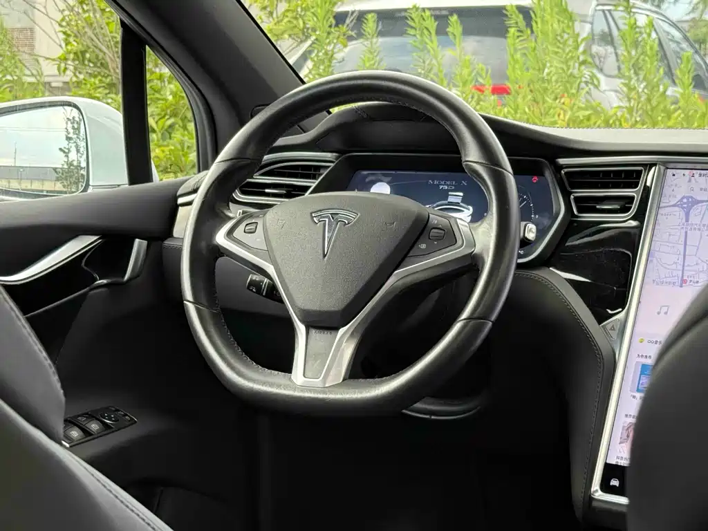 Tesla Model X — миниатюра 16