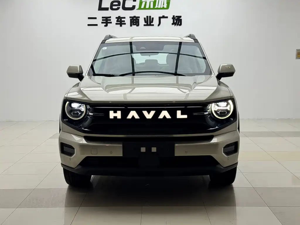 Haval Big Dog PLUS New Energy — миниатюра 2