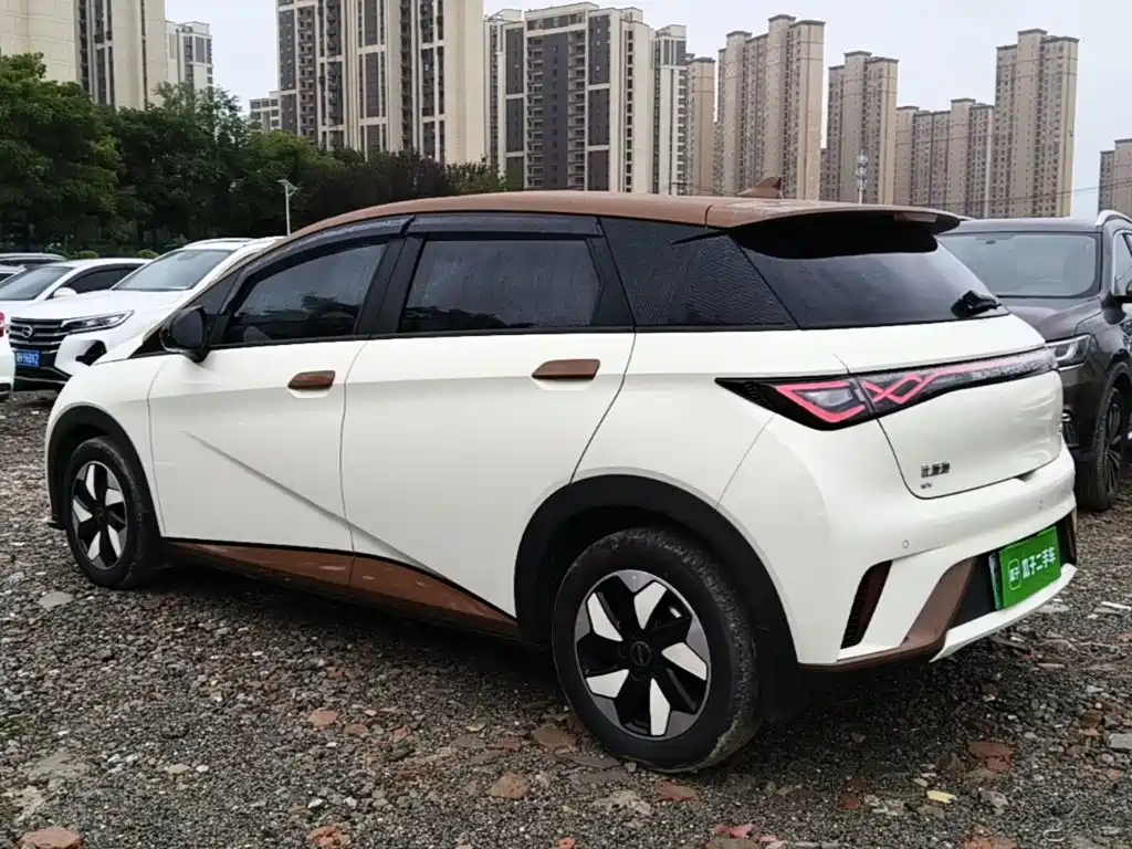 BYD Dolphin — миниатюра 5