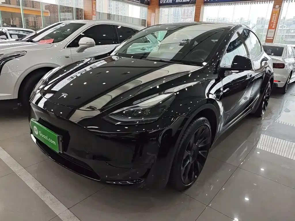 Tesla Model Y — миниатюра 2