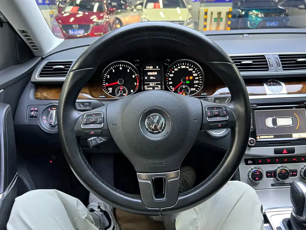 Volkswagen Magotan (Import) — миниатюра 5