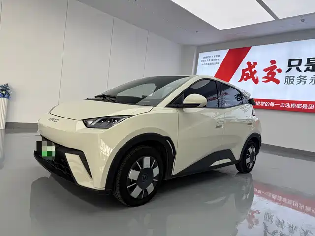BYD Seagull