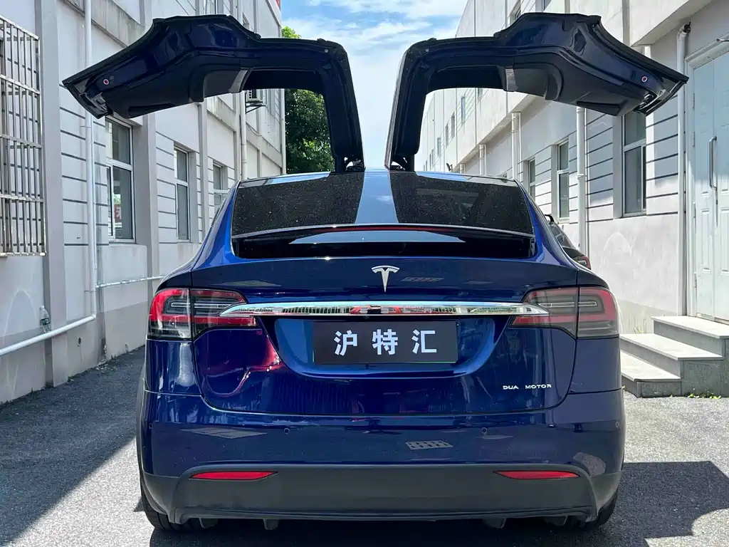 Tesla Model X — миниатюра 4