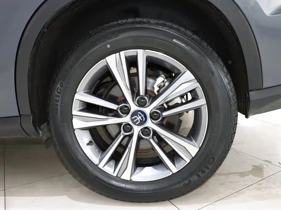 BYD Pro — миниатюра 20