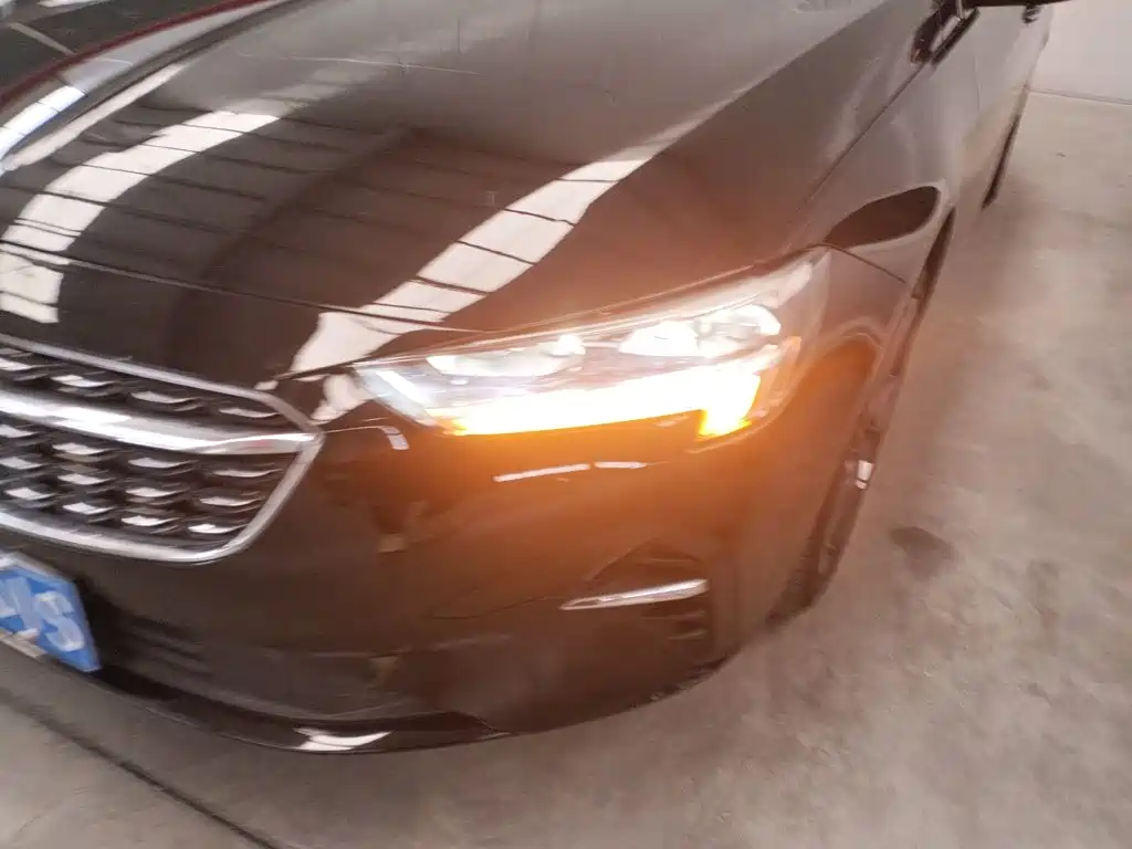 Buick Regal — миниатюра 23