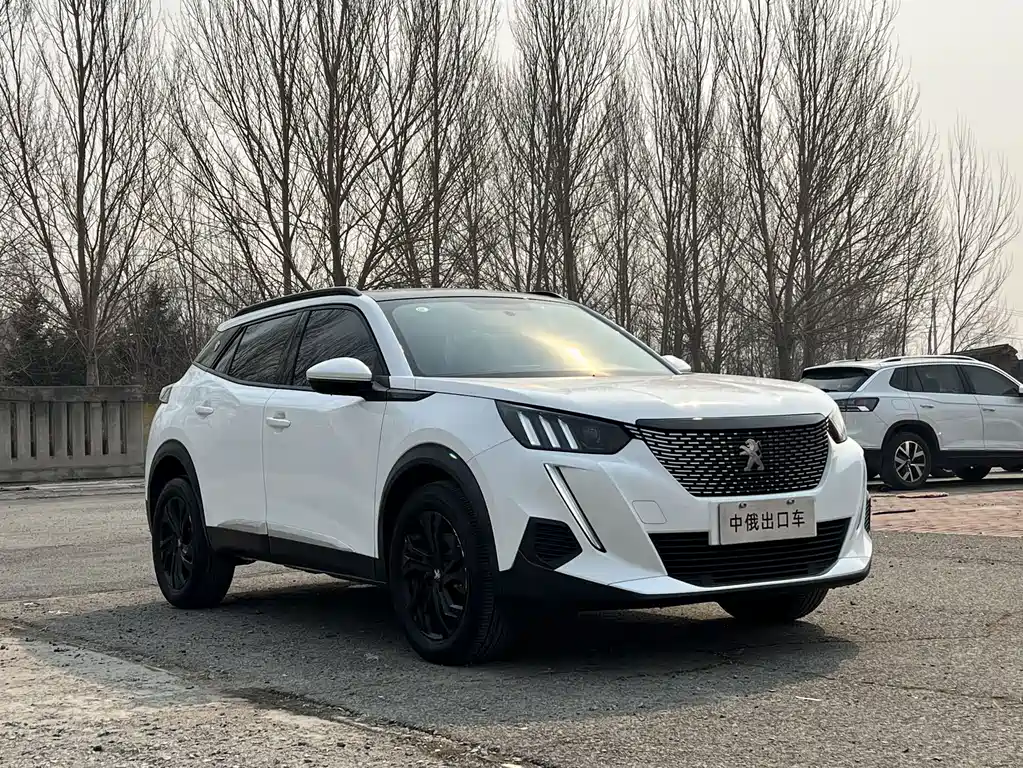 Peugeot 2008 — миниатюра 3