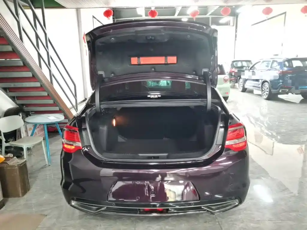 DS DS 5LS — миниатюра 19