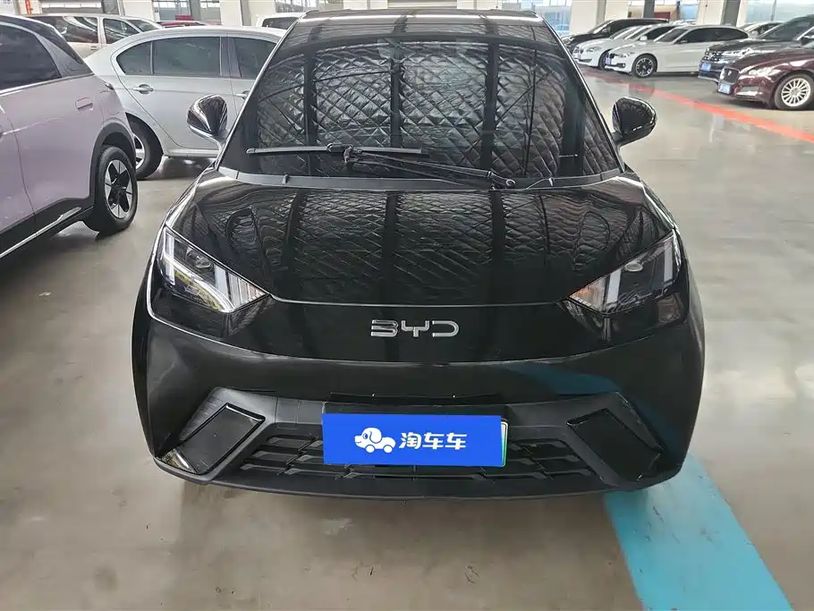 BYD Seagull 2024 405km Flying