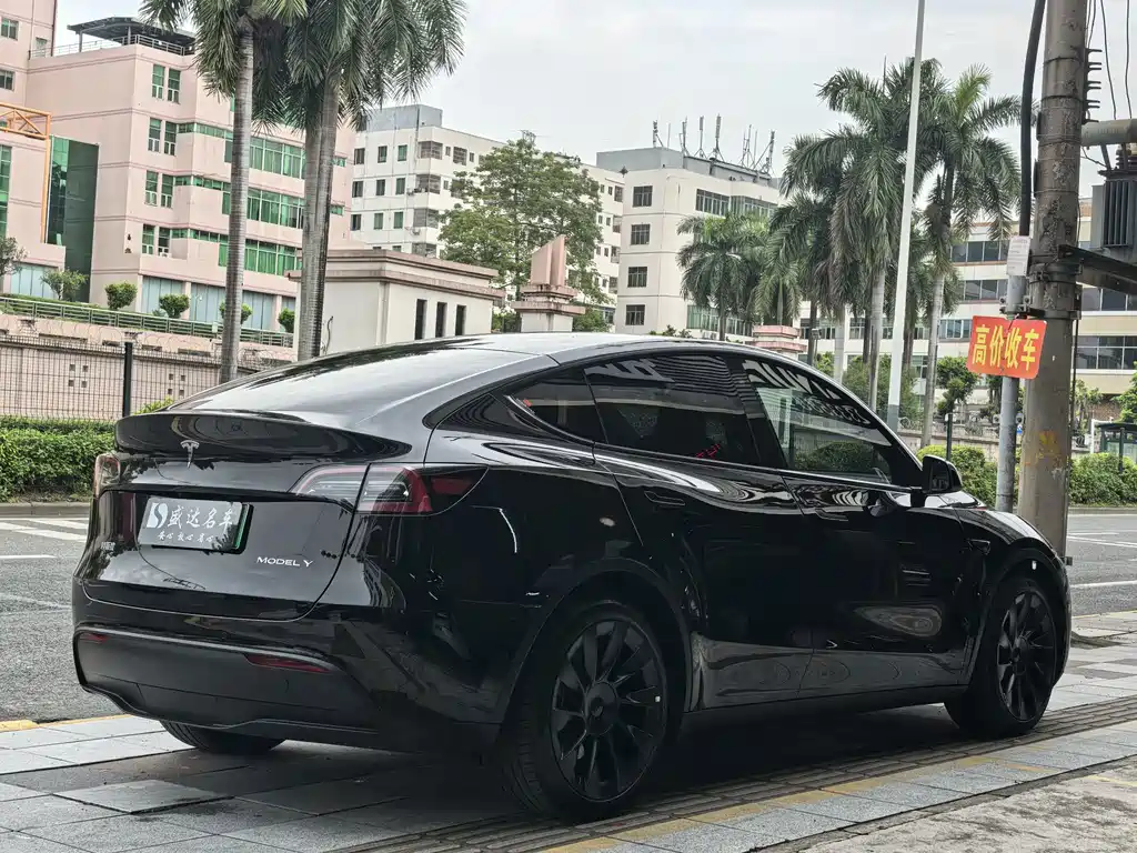 Tesla Model Y — миниатюра 4