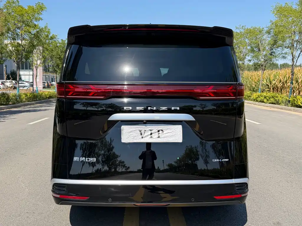 Denza Denza D9 — миниатюра 5