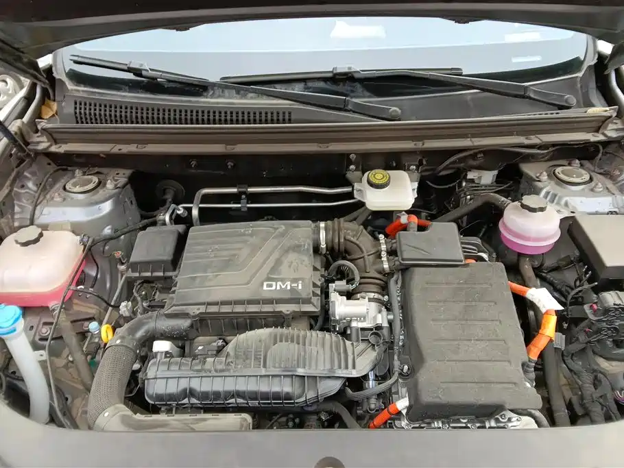 BYD SONGJIANG NEW ENERGY