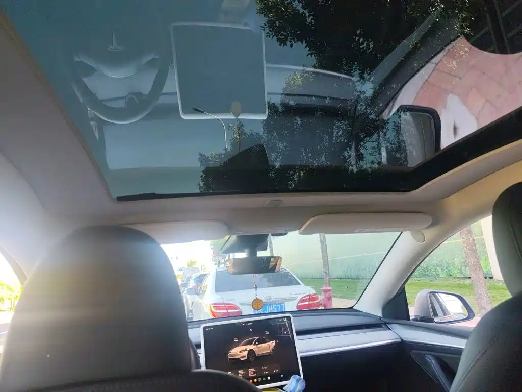Tesla Model Y — миниатюра 19