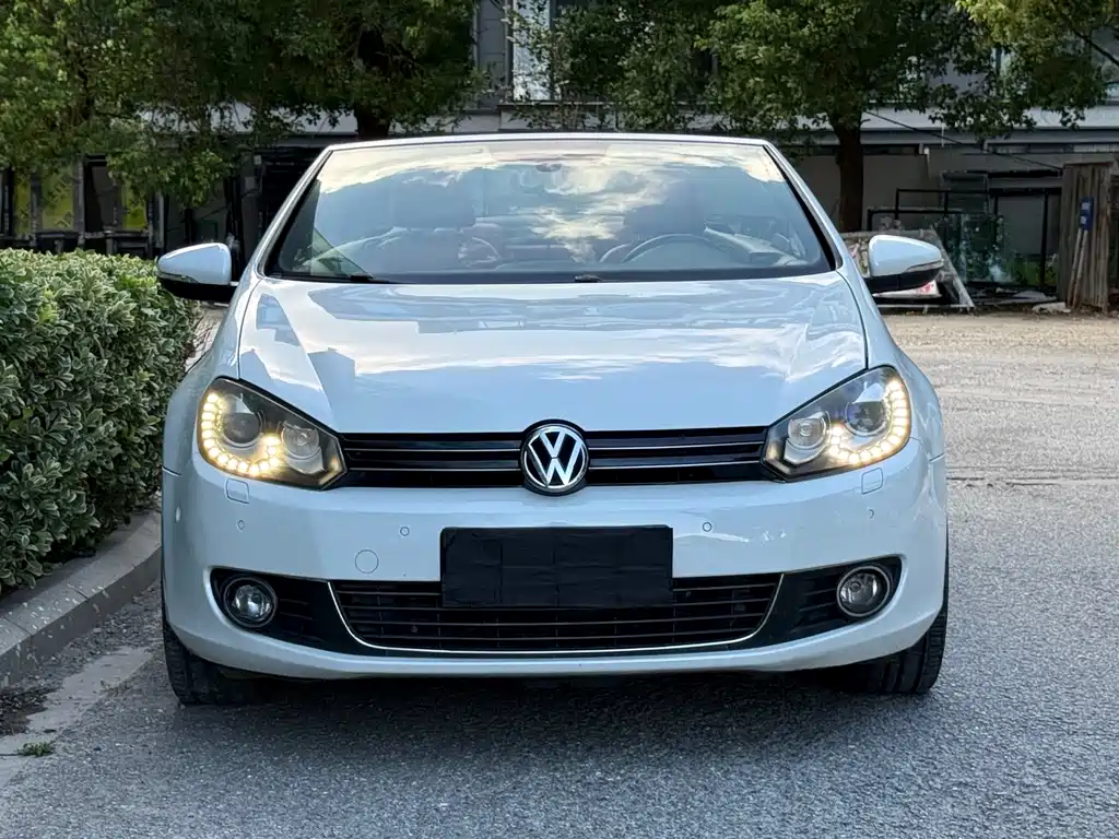 Volkswagen Golf (Import) — миниатюра 2