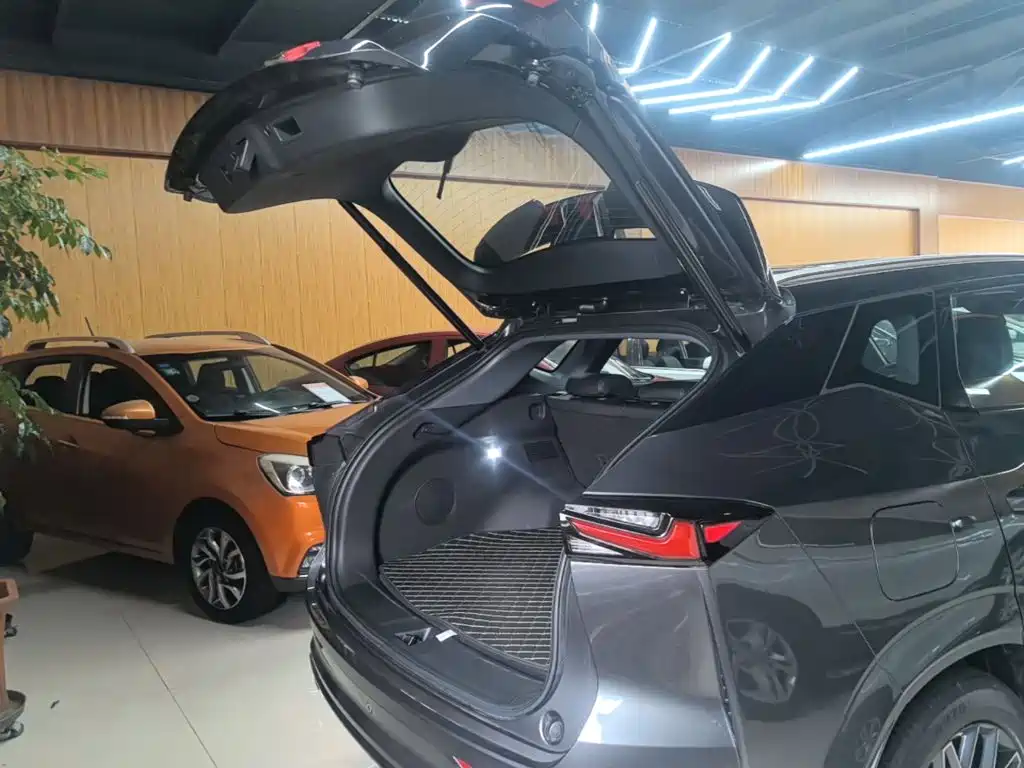 Oshan Oushang Z6 New Energy — миниатюра 9