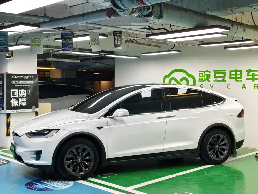 Tesla Model X — миниатюра 2