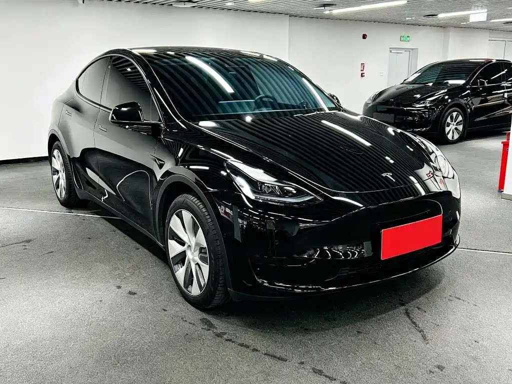 Tesla Model Y — миниатюра 3