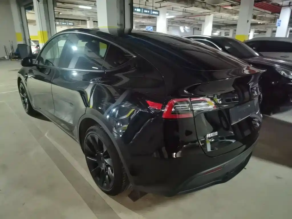 Tesla Model Y — миниатюра 5