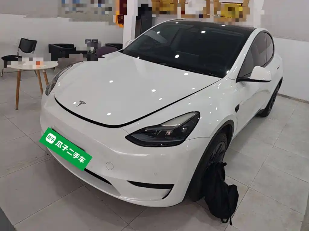 Tesla Model Y — миниатюра 2