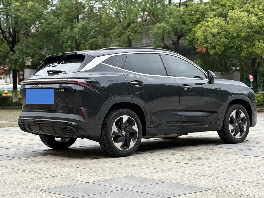 Shanhai Shanhai L6 — миниатюра 7