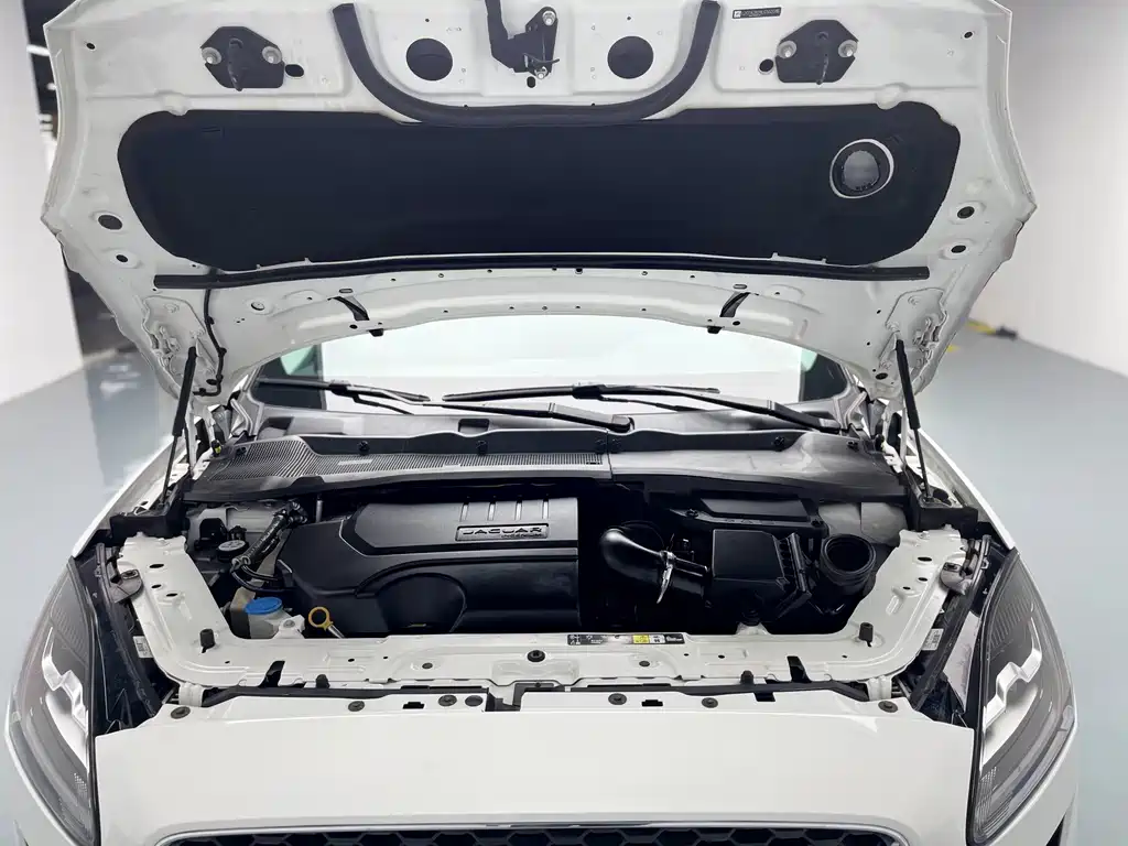 Jaguar E-PACE P200 S China VI, фото 2