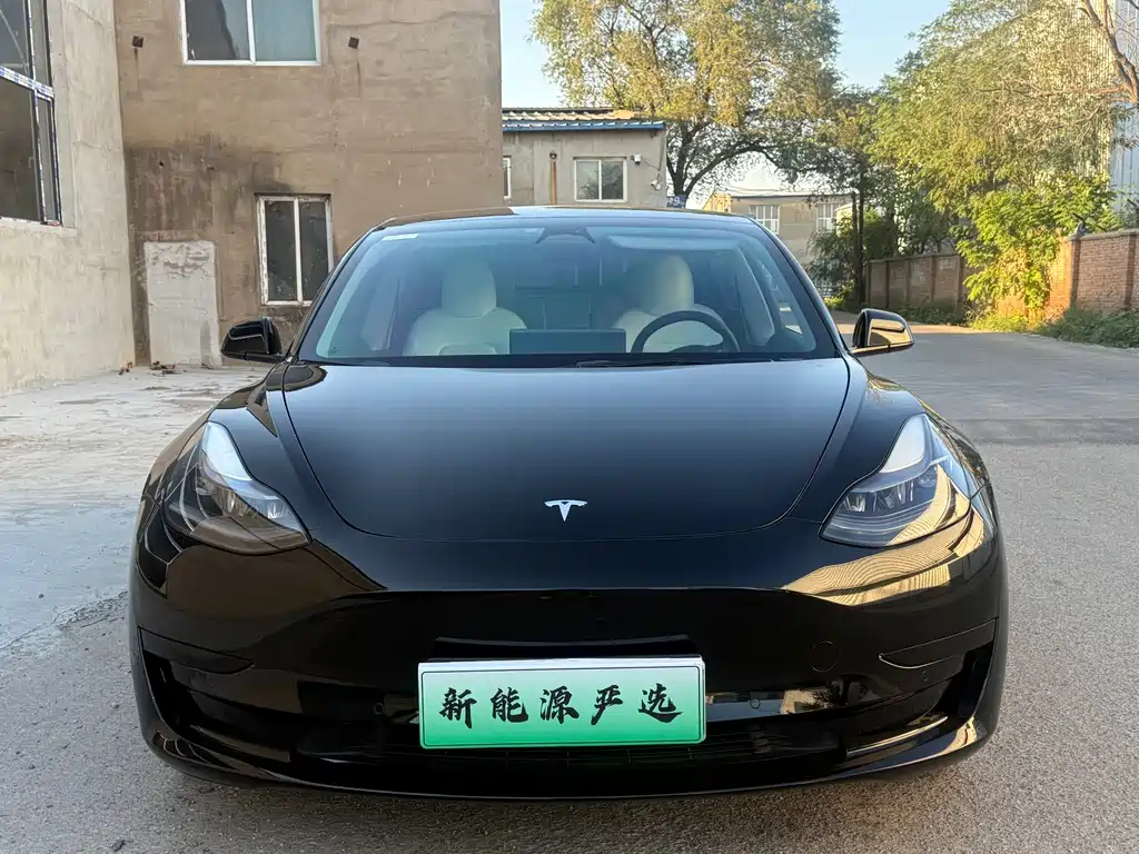 Tesla Model 3 — миниатюра 2