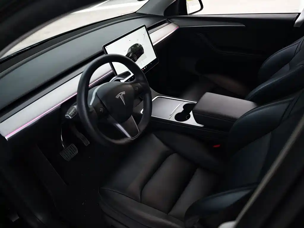 Tesla Model Y — миниатюра 3