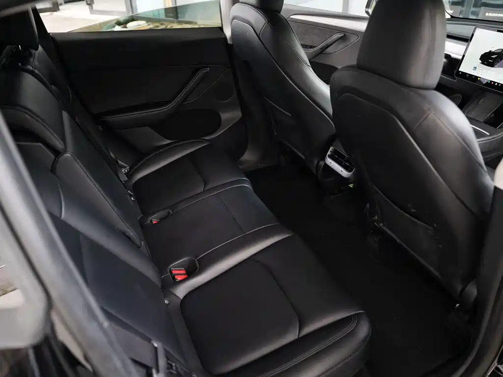 Tesla Model Y — миниатюра 7