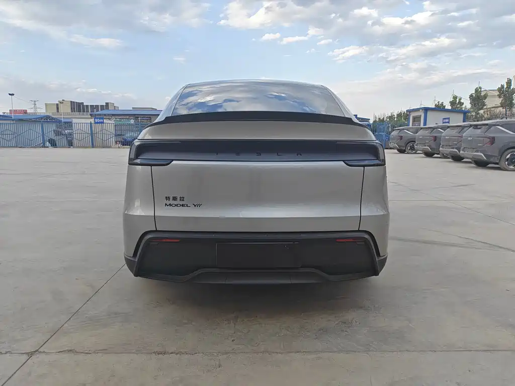 Tesla Model Y L — миниатюра 8