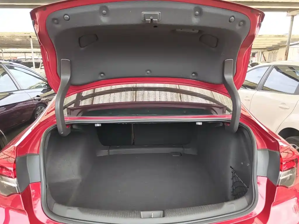 Buick Regal — миниатюра 19