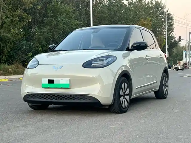 WULING AUTOMOBILE WULING BINGGUO 2023