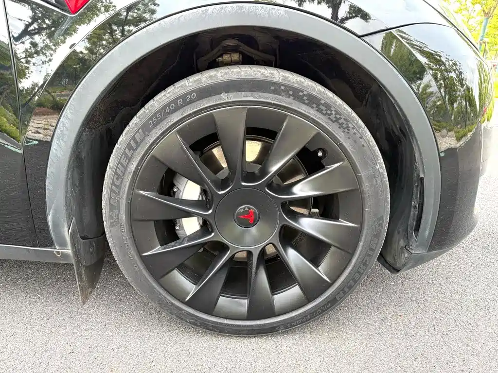 Tesla Model Y — миниатюра 15