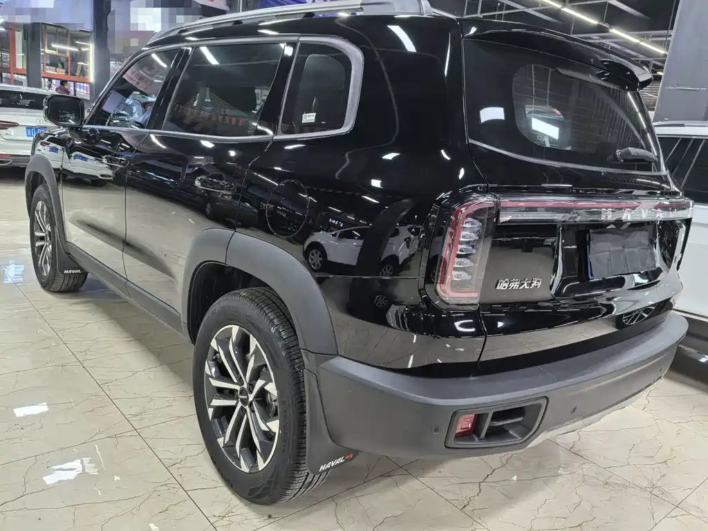 HAVAL BIG DOG