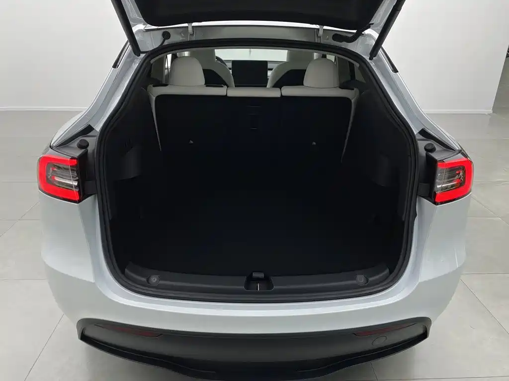 Tesla Model Y — миниатюра 3