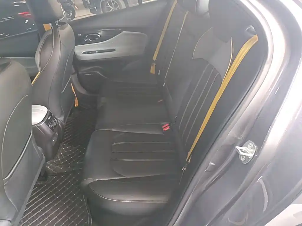 GAC Motor Shadow Leopard — миниатюра 17