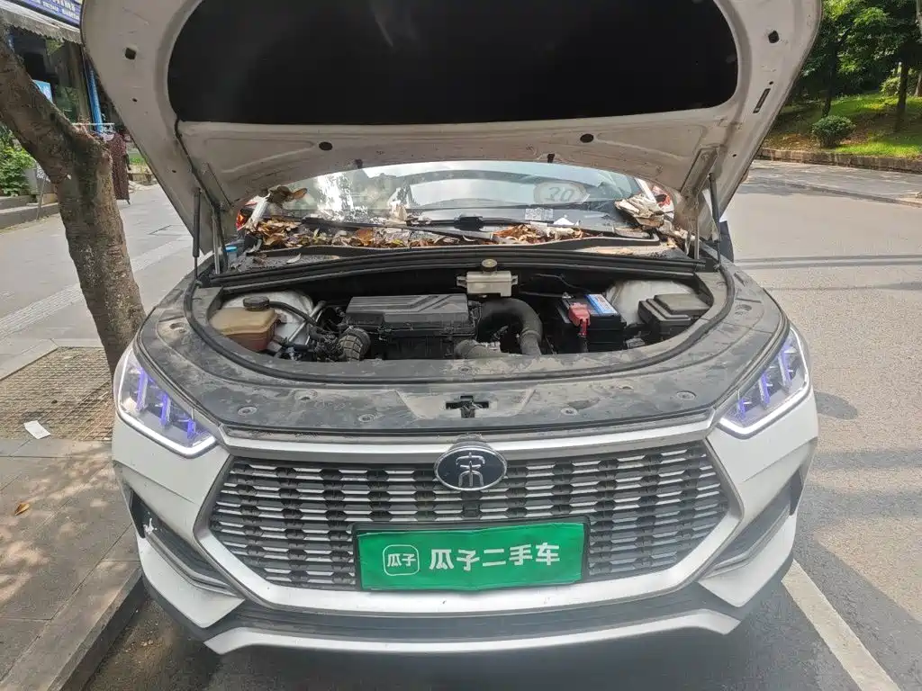 BYD PLUS — миниатюра 16