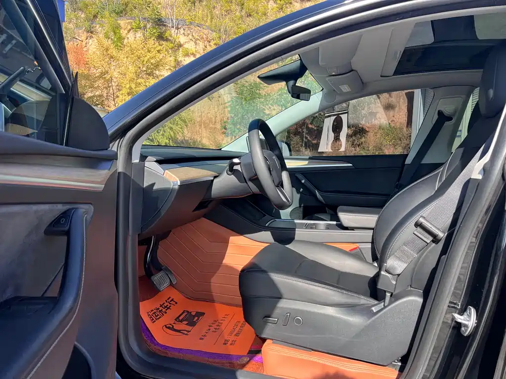Tesla Model Y — миниатюра 9