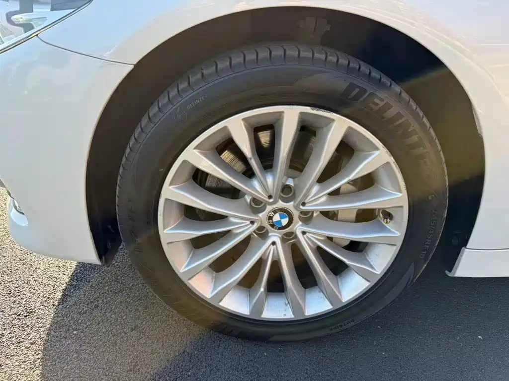 BMW 5 Series 5 2019 530Li Lead Luxury
