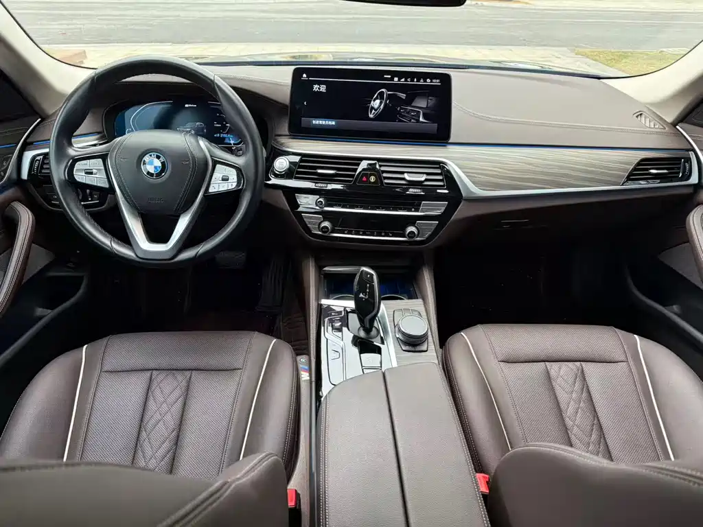 BMW 5 SERIES NEW ENERGY